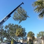Up - Up and Away