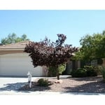 2569 Terrytown Ave. Las vegas Nv. 89052