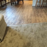 Flooring Job with Transition