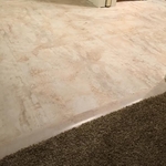 Flooring Job with Transition