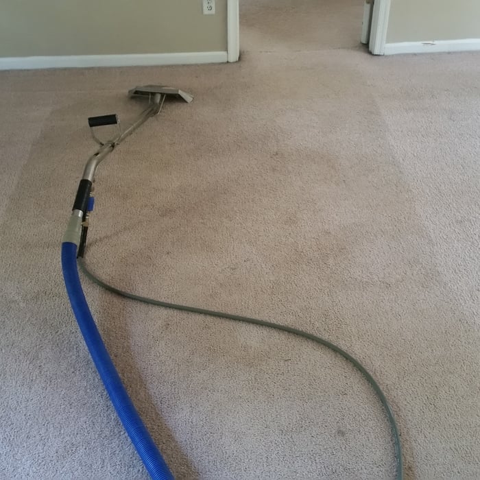 Pet cleaning