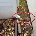 Missing Downspout extensions