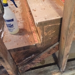Mold Remediation