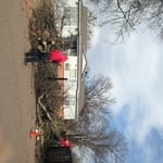 Tree removal