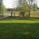New Sod Installation