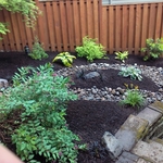 Easy to maintain backyard - Portland