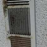 Mold On Return