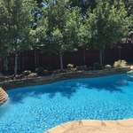 Pool/Fence