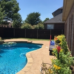 Pool/Fence