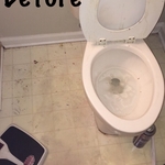 Toilet Before