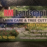 Tree removal