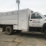Tree removal