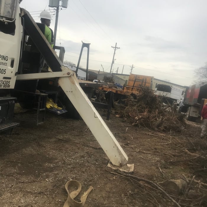 Tree removal