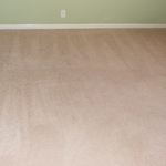 carpet shampoing