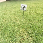 Dr. Green Customer in Frisco