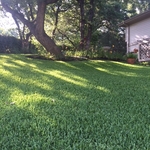 St. Augustine Lawn in Grand Prairie