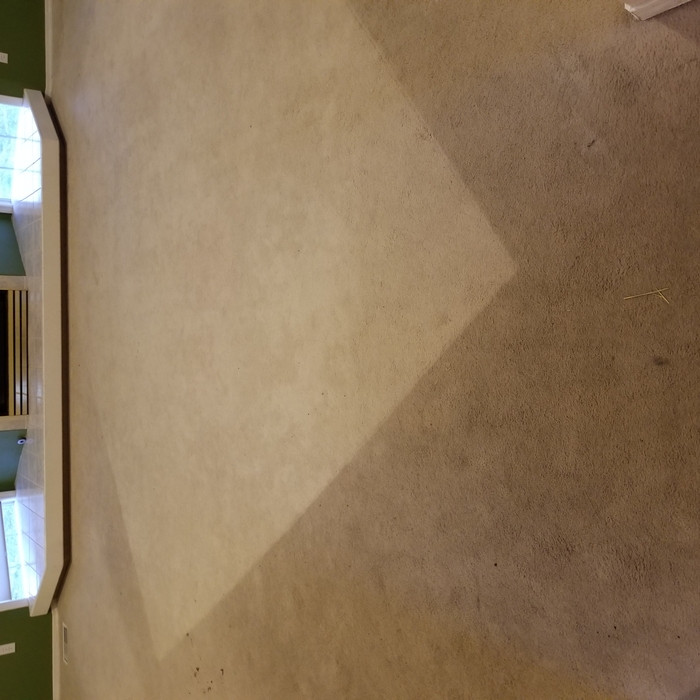 Dirty Carpets