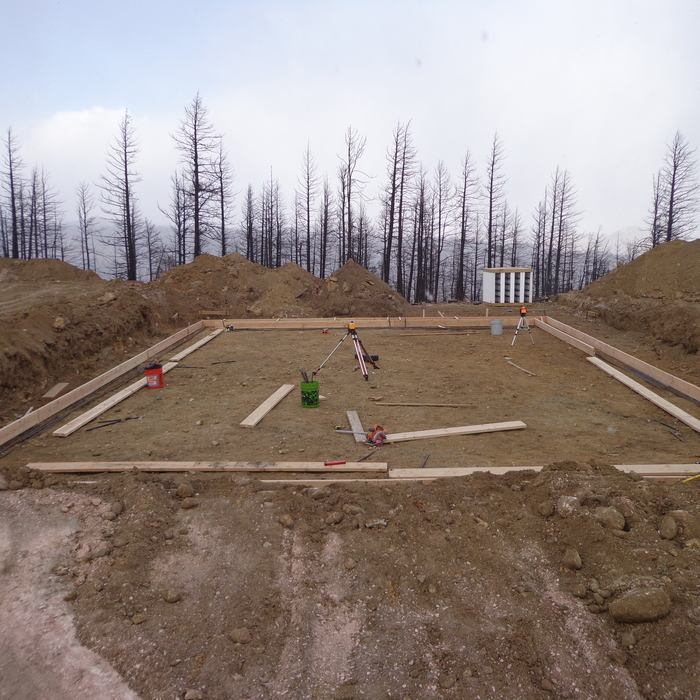 Site Just After Forrest Fire
