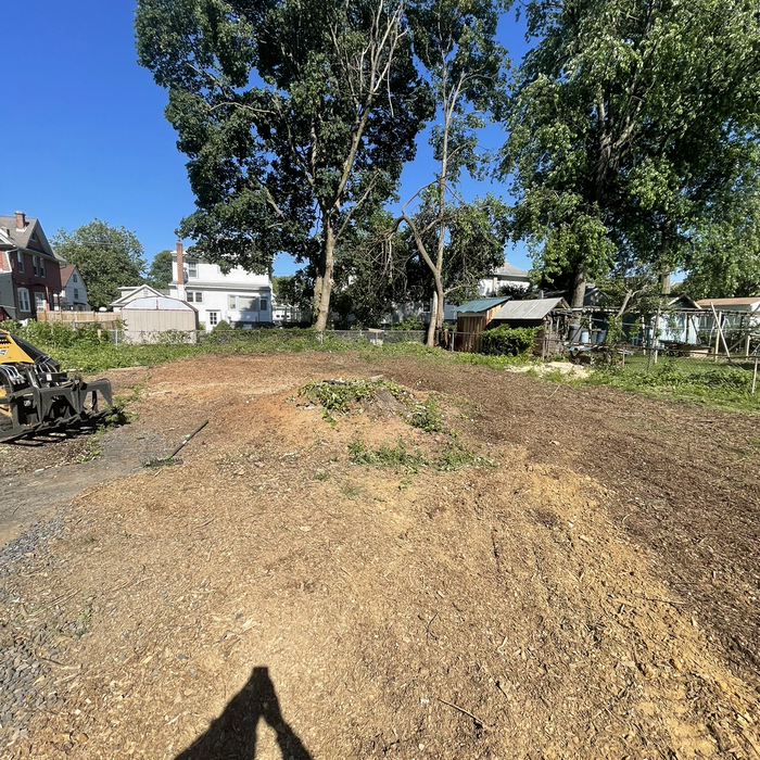 Lot clearances with stump grinding