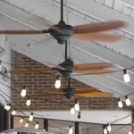 Ceiling Fans
