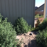 side of house