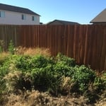 back yard