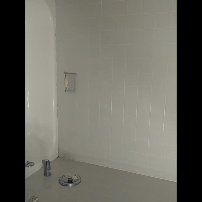 Tub/shower combo