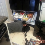 Bottom freezer