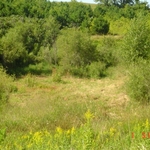 Site location