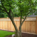 Wood Fence 7