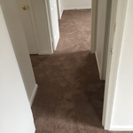 carpet installation by seaside