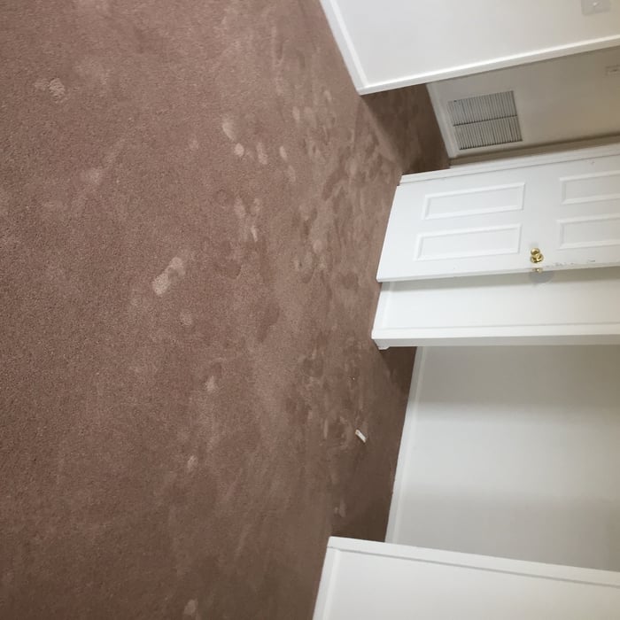 carpet installation by seaside