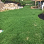 fresh sod with a view