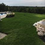 fresh sod with a view