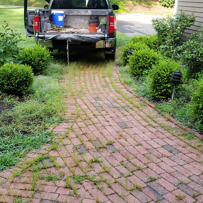Blue Stone Walkway