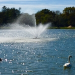 Lake Fountain