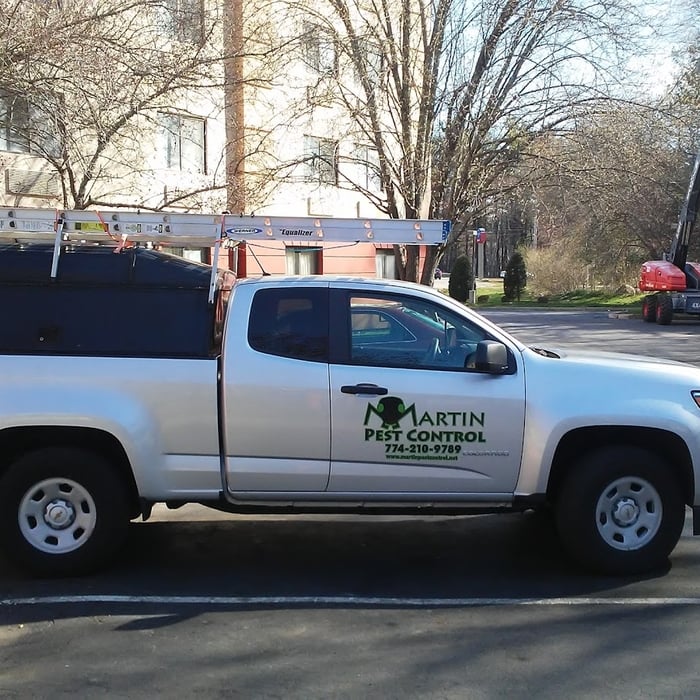 Nest Removal- treatment