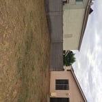 Weeds After