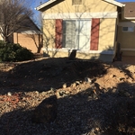 Landscaping