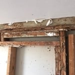 Subterranean Termite Infestation