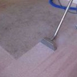 Steam cleaned carpet