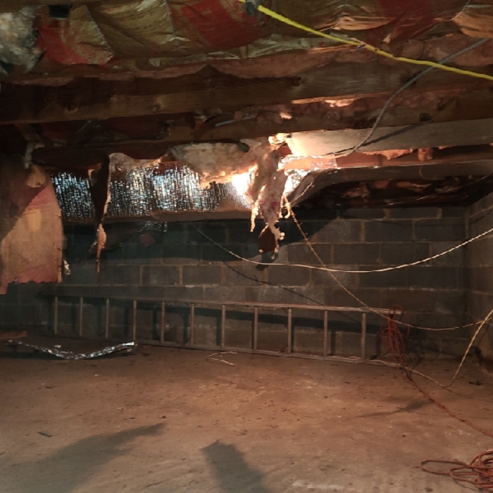 Crawlspace Insulation