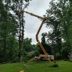 tree removal