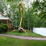 tree removal
