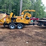 tree removal