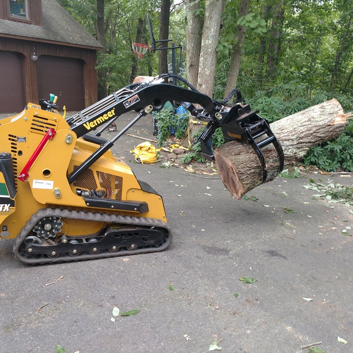 tree removal