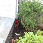 Unadvisable leader discharge.