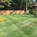LAWN
