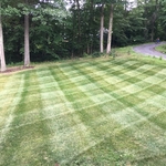 LAWN