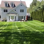 LAWN